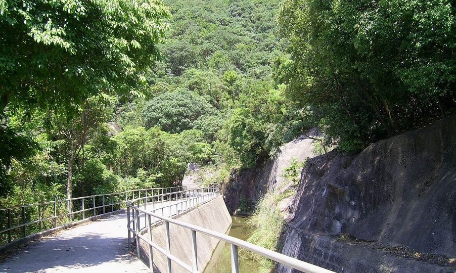 The missing man spent overnight alone on Lion Rock hill. Photo: Chong Fat/Wiki Commons