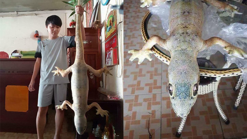 Photos: Like it, Love it/Facebook