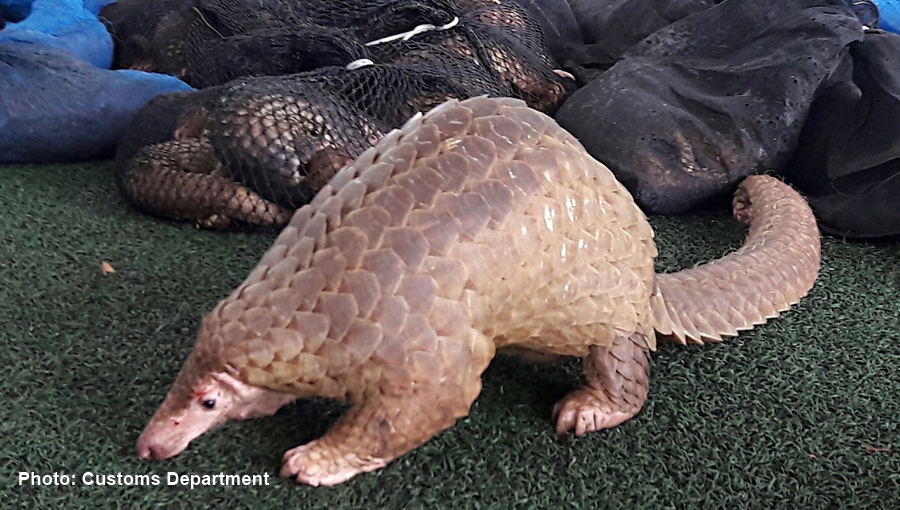 Photos: Courtesy of Customs Department