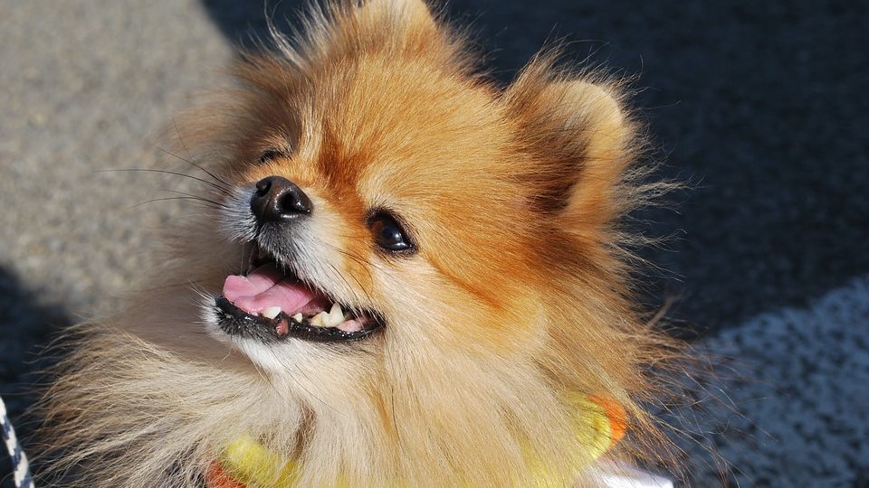 Photo for illustration purpose only. 