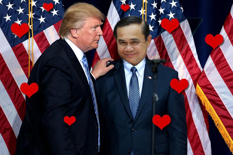 Coconuts photo mockup. 