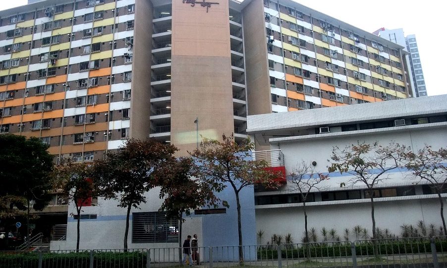 Lung Hang Estate in Sha Tin, New Territories. Photo: Mk2010/Wiki Common