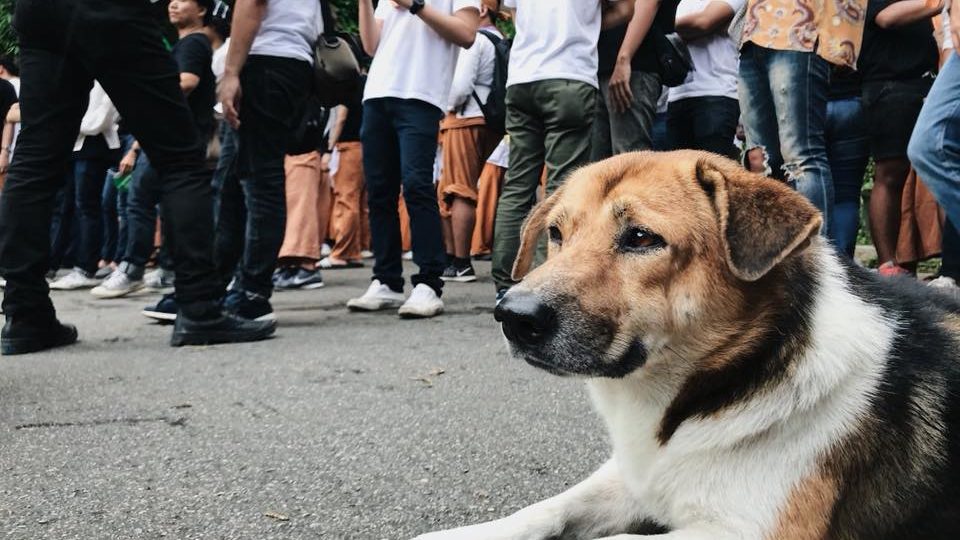 Photo: Shortie’s Story/ Facebook