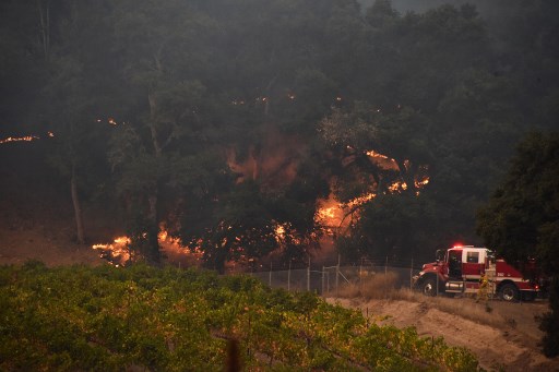 More than 200 fire engines and firefighting crews from around the country were being rushed to California on Wednesday to help battle infernos which have left at least 21 people dead and thousands homeless. / AFP PHOTO / Robyn Beck
