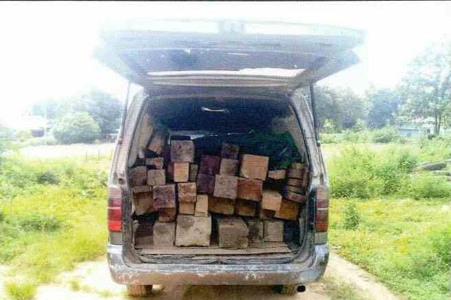 Seized logs in a passenger vehicle. Photo: Facebook / Forest Department