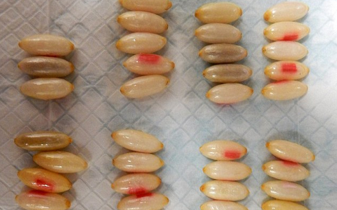 Not actual meth smuggled, but you get the idea