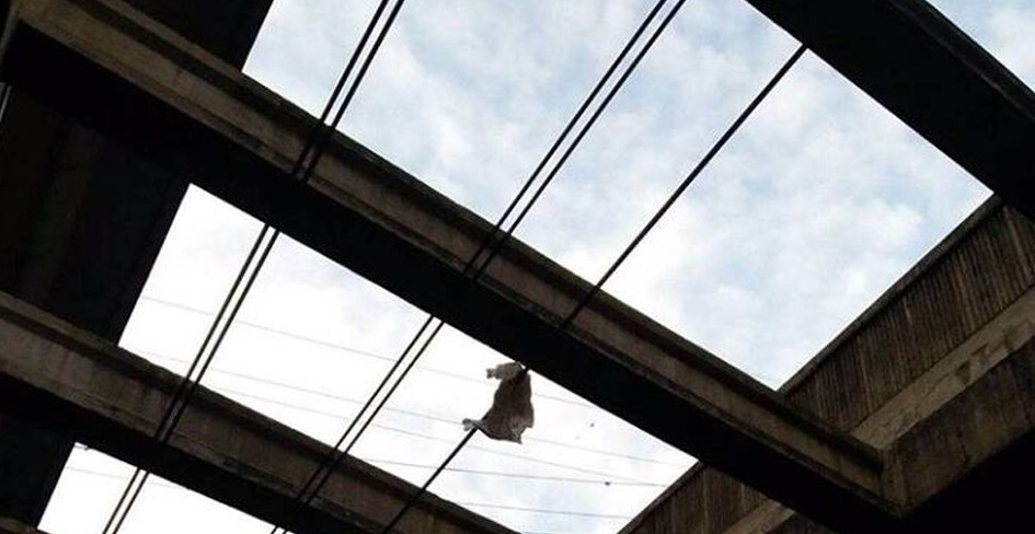 Photo from ABS-CBN News