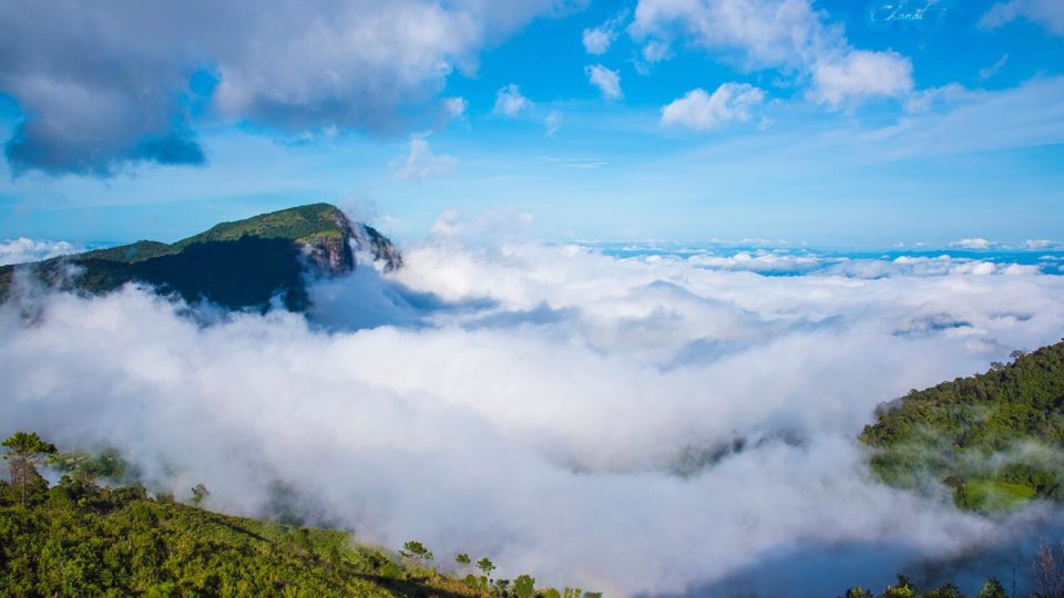 Photo: Doi Inthanon National Park/ Facebook