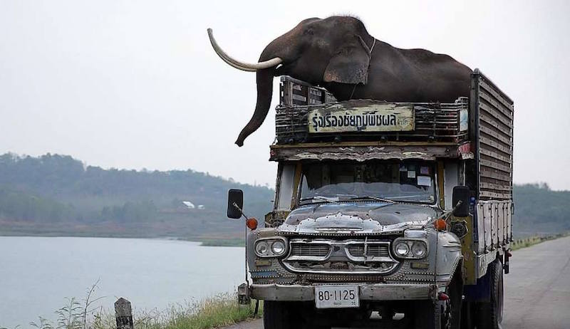 Photo: Pop Aye/Facebook