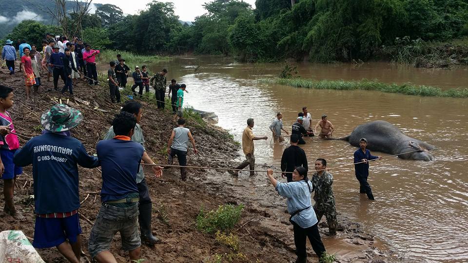 Photo: Viphavadi News/ Facebook