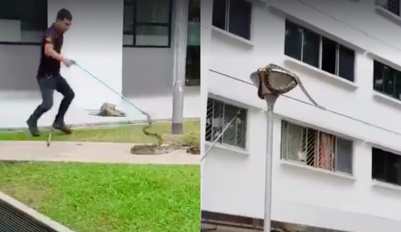 Screengrab from video