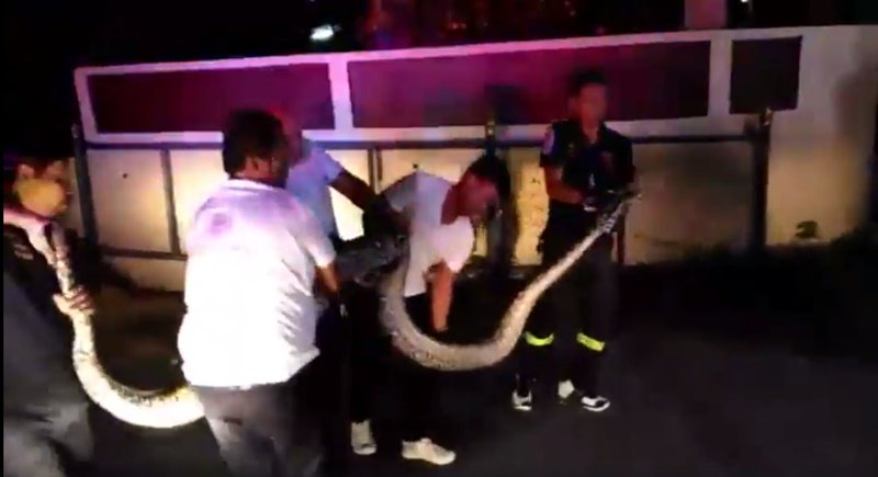 Photo: Kusoldharm Foundation