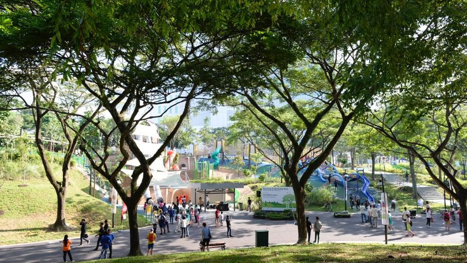 Photo: NParks / Facebook