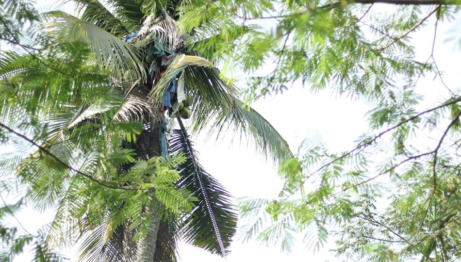 Photo by Rodge Cultura/ABS-CBN News