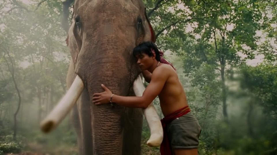 Screenshot: From Ong Bak/Youtube