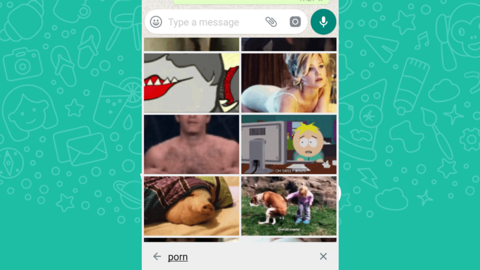 An example of the kinds of “pornographic” GIFs you can find on WhatsApp.