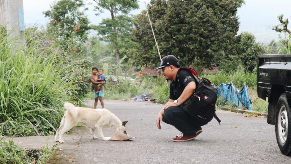 A BAWA staff member feeds a dog on the slopes of Mt. Agung. Photo: Julianne Greco/Coconuts Bali