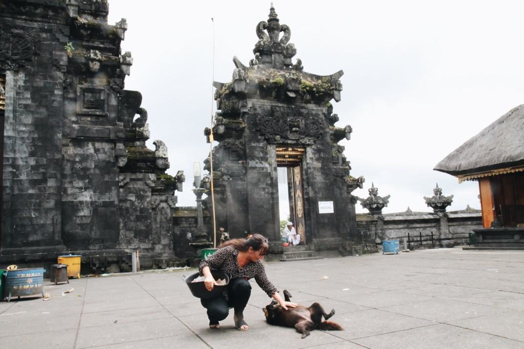 BAWA feeding dogs at Mount Agung