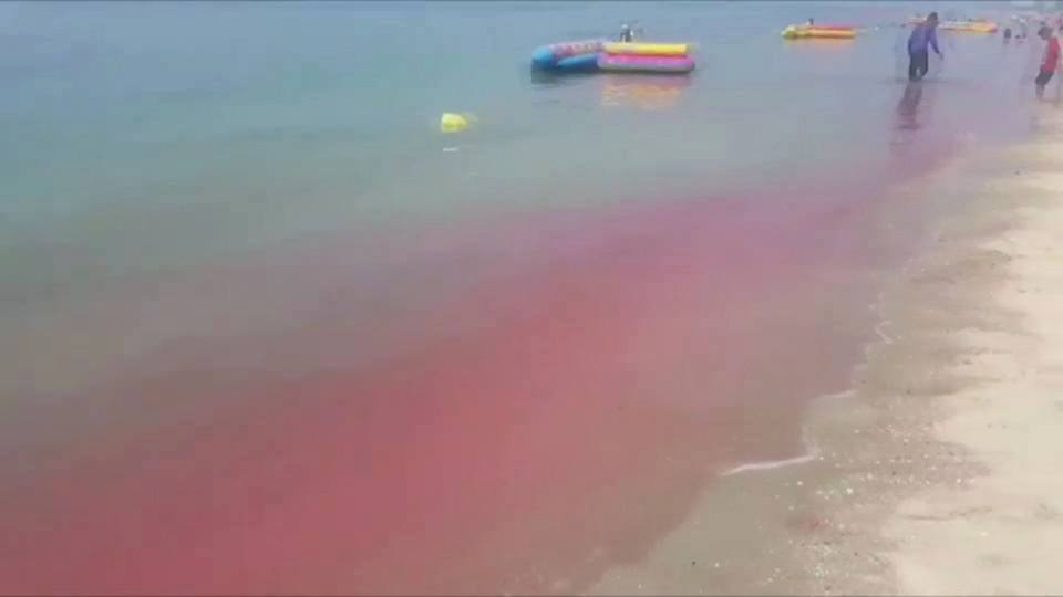 Photo: FM91 Traffic Pro