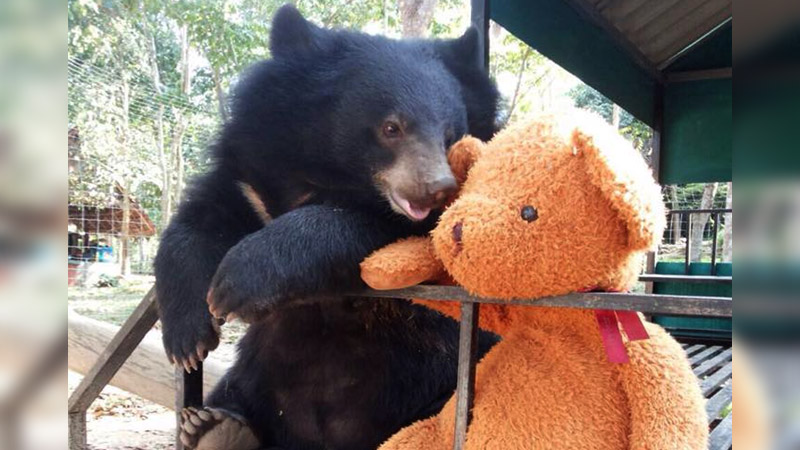 Photo: Charlie Chuckkui/ Facebook