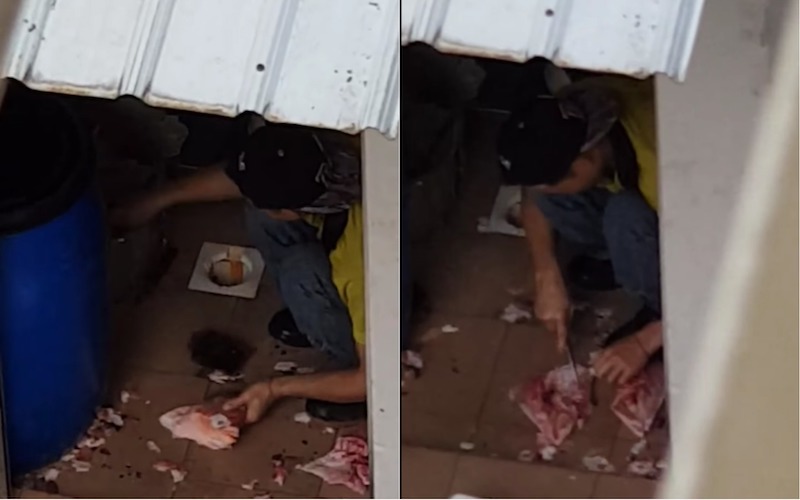 Photo: Video screengrab