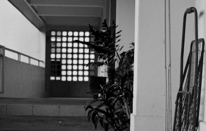 Photo: Gramicidin / Flickr