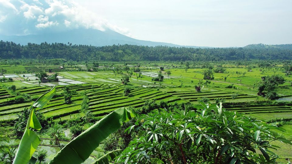 Mount Agung. Photo: DEZALB/Pixabay