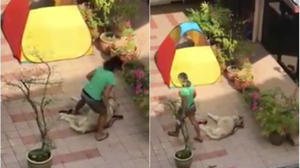 Photo: Video screengrab