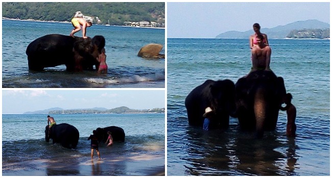 Photos submitted by a reader to The Phuket News. 