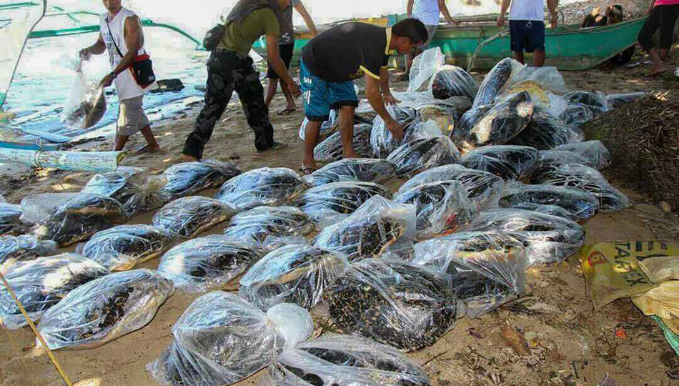 File photo from ABS-CBN News