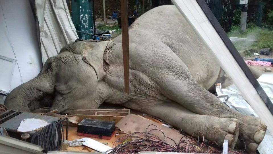 via Info Roadblock JPJ/POLIS Facebook