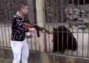 A Chinese tourist shoots a caged Asiatic black bear to death in the Wa Self-Administered Region in late December 2017.