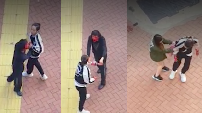 Screengrabs via Apple Daily video.