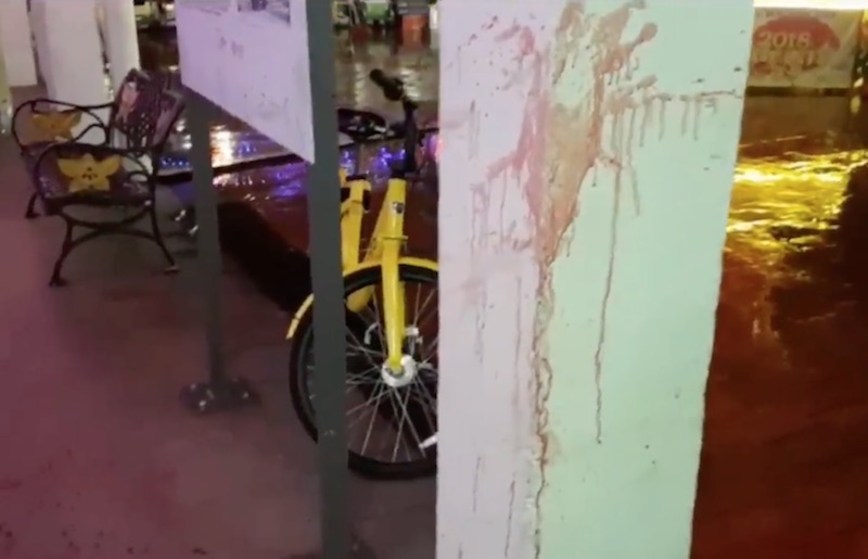 Photo: Screengrab of Shin Min Daily News’ video