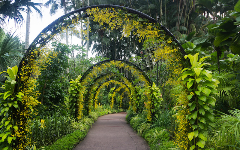 Photo: _paVan_ / Flickr