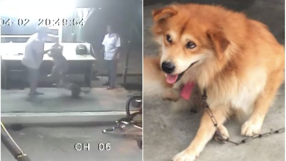 Photos: Video screengrab; Facebook