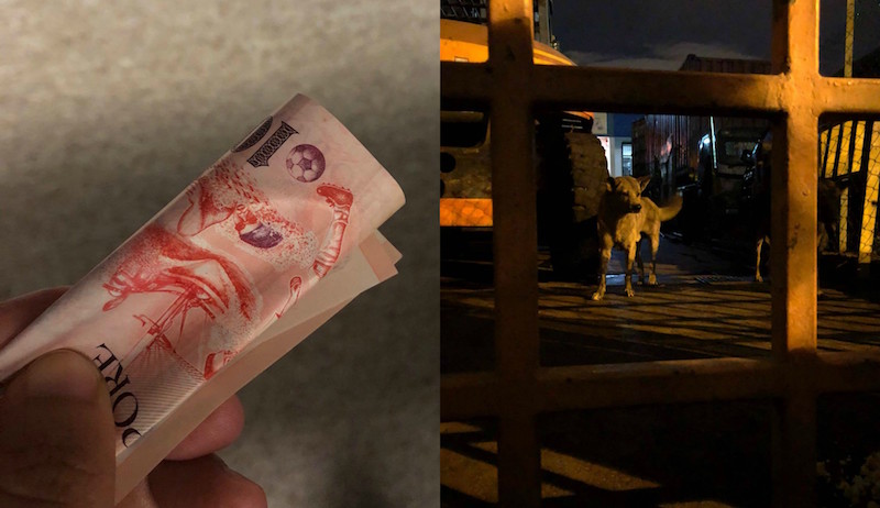 Photo: 
HOPE Dog Rescue/Facebook