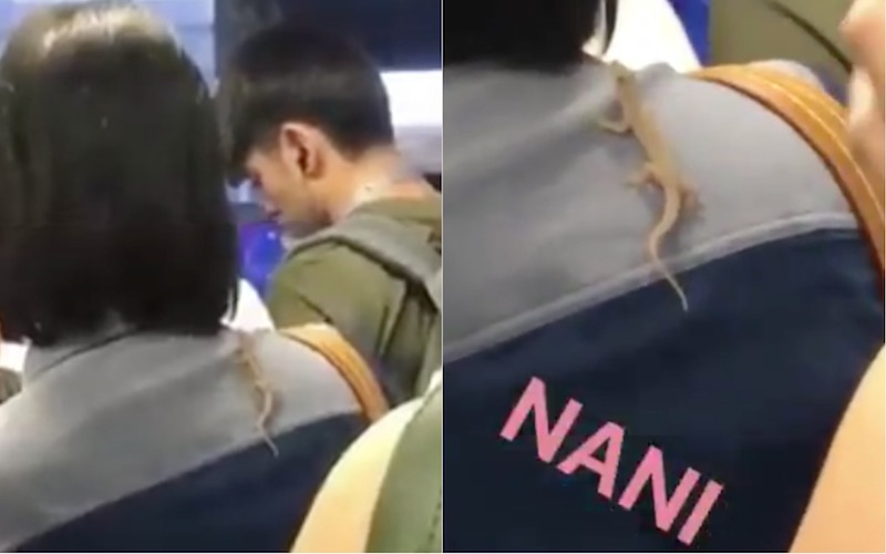 Photo:  @_syazie_ / Twitter 