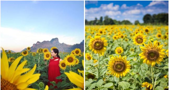 Photos: Ayuh Travel/Twitter (left), TAT (right).