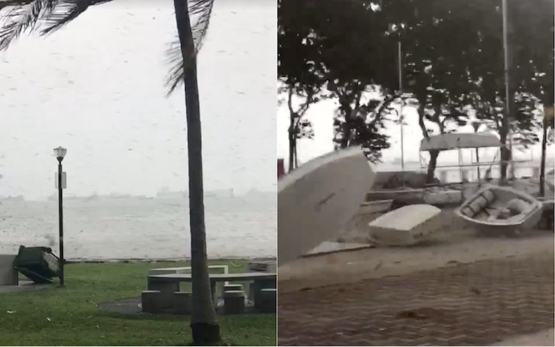 Photos: Video screengrab