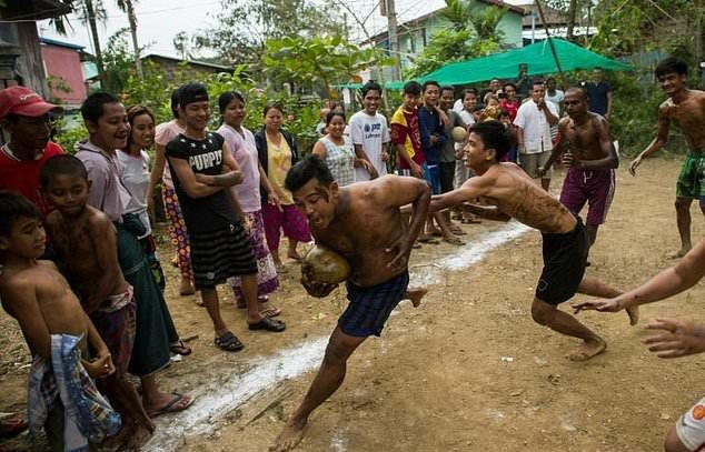 Teenagers wrestle for greasy coconuts