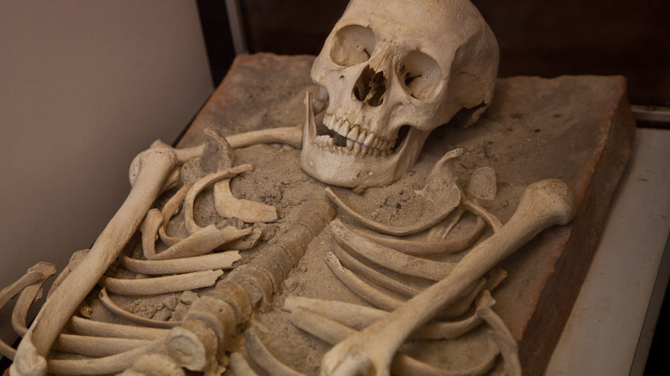 Photo illustration. Source: Wikimedia Commons