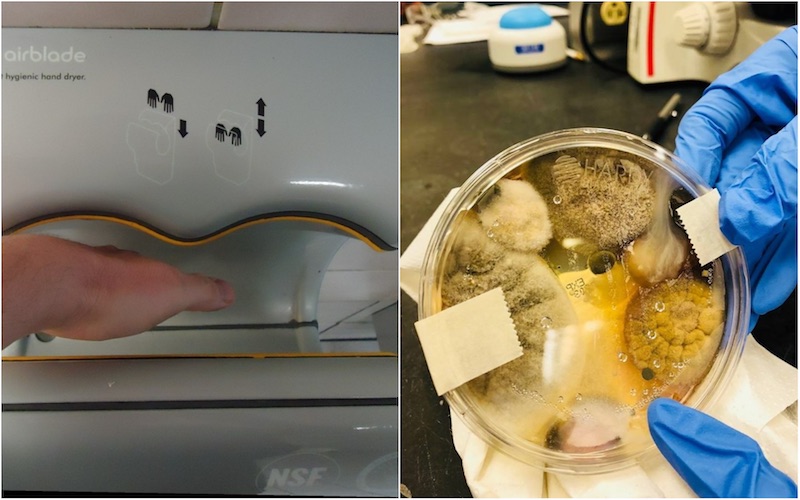 Photo: Wikimedia Commons; Nichole Ward