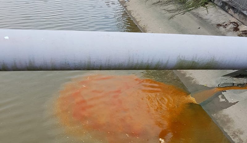 Photo: Shirley Lc Tan/Facebook