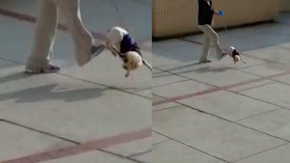 Screengrab via Apple Daily video.