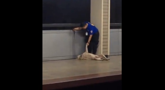 Screengrab from Facebook