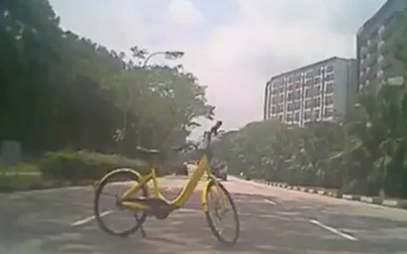 Photo: Videos screengrab