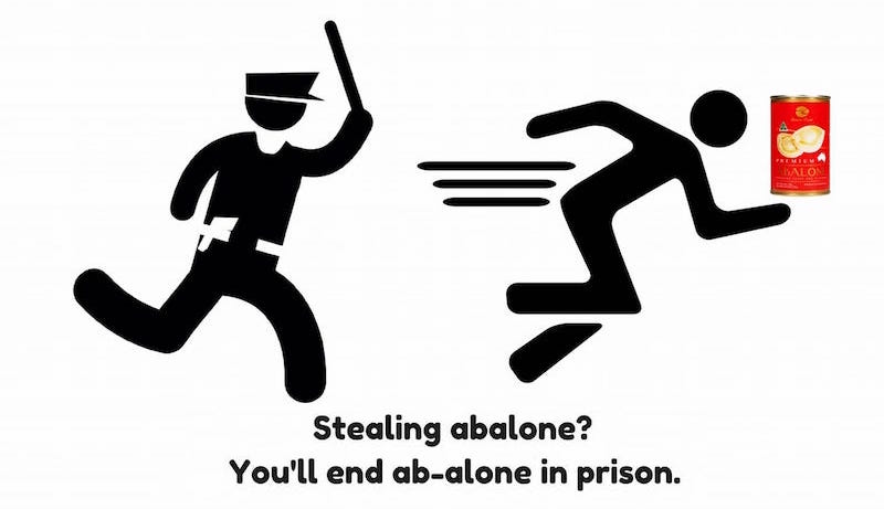 Photo: Singapore Police Force/Facebook