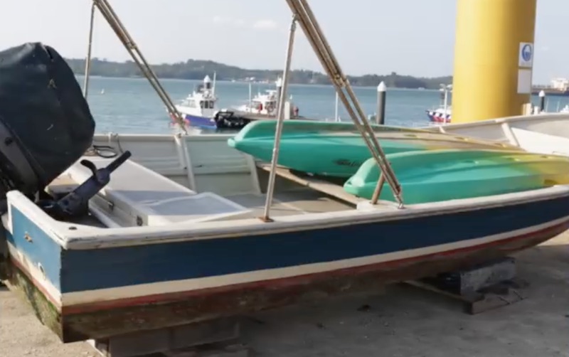 Photo: Video screengrab