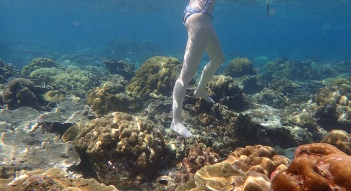 Tourists ignorant of the damage they are causing are one of the key factors. Photo: Dr. Thon Thamrongnawasawat